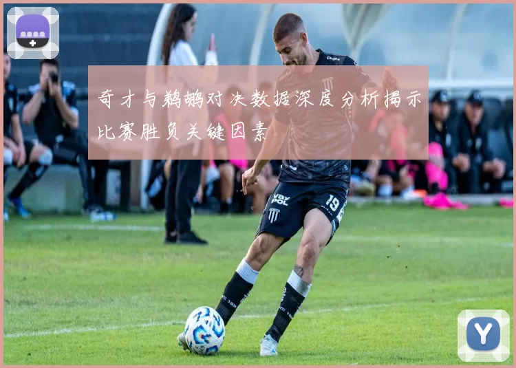 奇才与鹈鹕对决数据深度分析揭示比赛胜负关键因素