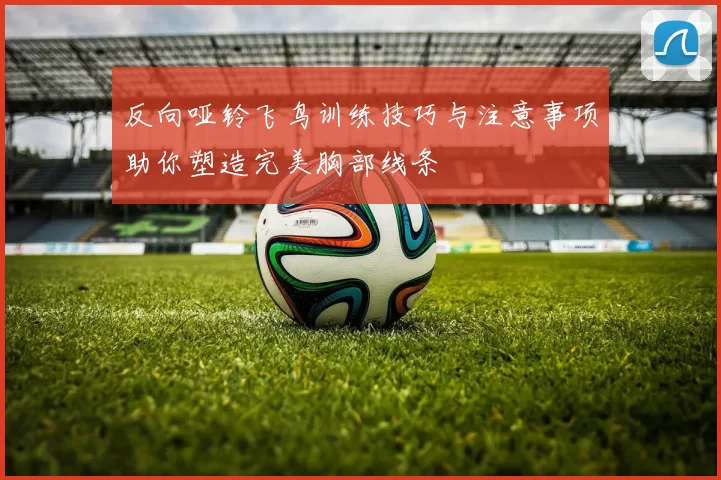 反向哑铃飞鸟训练技巧与注意事项助你塑造完美胸部线条