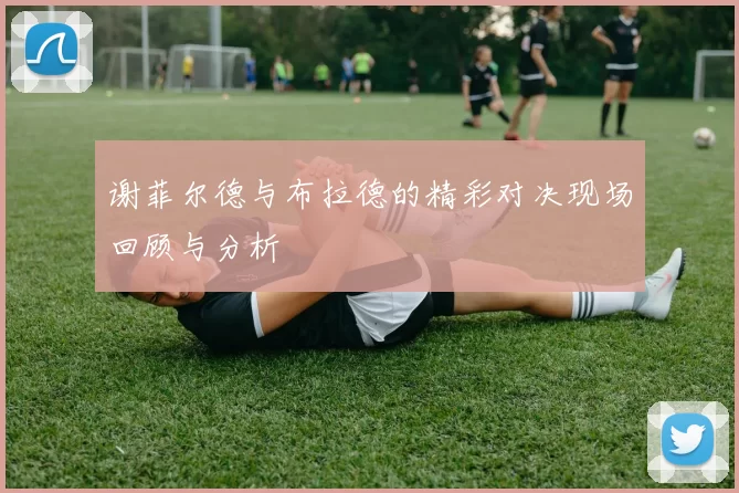 谢菲尔德与布拉德的精彩对决现场回顾与分析
